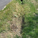Stormwater -  Pipe/Drain/Catch Basin - Blocked at 2818 Mark St