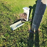 Traffic Signal Maintenance at Hillwell Rd