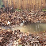 Stormwater -  Pipe/Drain/Catch Basin - Blocked at 1430 Oleander Ave