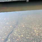 Stormwater -  Pipe/Drain/Catch Basin - Blocked at 1100 Byrd Ave