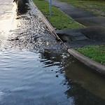 Stormwater -  Pipe/Drain/Catch Basin - Blocked at 1603 Laurel Ave
