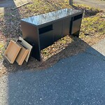 Bulk Trash Pickup at 36.705N 76.240W