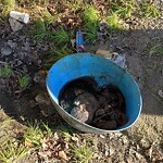 Dead Animal In or Along Roadway at 764 George Washington Hwy N