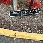 Sign - Maintenance/Repair at 1016 Thoroughgood Way