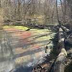 Stormwater -  Pipe/Drain/Catch Basin - Blocked at Pocaty Rd