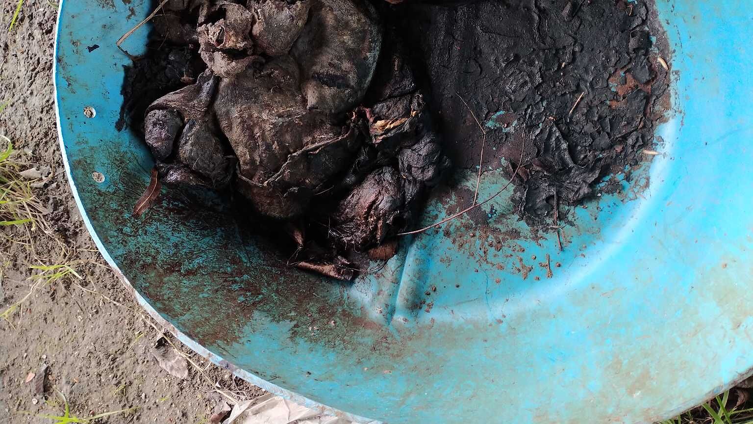 Photo_20240301_154424