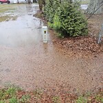 Stormwater -  Pipe/Drain/Catch Basin - Blocked at 1220 Long Ridge Rd