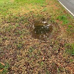 Stormwater -  Pipe/Drain/Catch Basin - Blocked at 1136 Long Ridge Rd