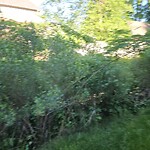 Ditch - Blocked at 819 Waterfall Way