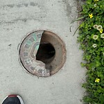 Stormwater -  Pipe/Drain/Catch Basin - Blocked at 1312 Great Bridge Blvd