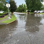 Stormwater -  Pipe/Drain/Catch Basin - Blocked at Copper Stone Cir