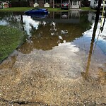 Stormwater -  Pipe/Drain/Catch Basin - Blocked at 445 Blanche Dr S