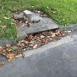 Stormwater -  Pipe/Drain/Catch Basin - Blocked at 2410 Chesapeake Ave