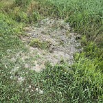 Stormwater -  Pipe/Drain/Catch Basin - Blocked at 4940 Ballahack Rd