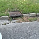 Stormwater -  Pipe/Drain/Catch Basin - Blocked at 1309 Dena St