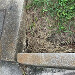 Stormwater -  Pipe/Drain/Catch Basin - Blocked at 429 Villanova Ave