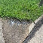 Water - Leak at 3200 Holly Ridge Ct