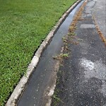 Drainage Issue at 1729 Swan Lake Cres