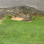 Stormwater -  Pipe/Drain/Catch Basin - Blocked at 4136 Belvedere Dr