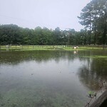 Stormwater -  Pipe/Drain/Catch Basin - Blocked at 1225 Long Ridge Rd