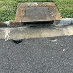 Pothole Repair at 3105 Rebecca Dr