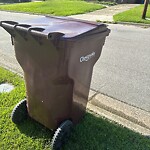 Missed Trash - Container at 1310 Dena St