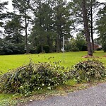 Bulk Trash Pickup at 228 Fernwood Farms Rd