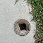 Drainage Issue at 1308 Great Bridge Blvd