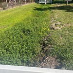 Ditch - Blocked at 312 Outlaw St