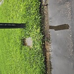 Water - Leak at 1001 Vanderploeg Dr
