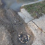 Sewer Stoppage at 1320 20 Th St