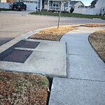 Stormwater -  Pipe/Drain/Catch Basin - Blocked at 1739 Silverton Way