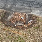 Stormwater -  Pipe/Drain/Catch Basin - Blocked at 3802 Bainbridge Blvd