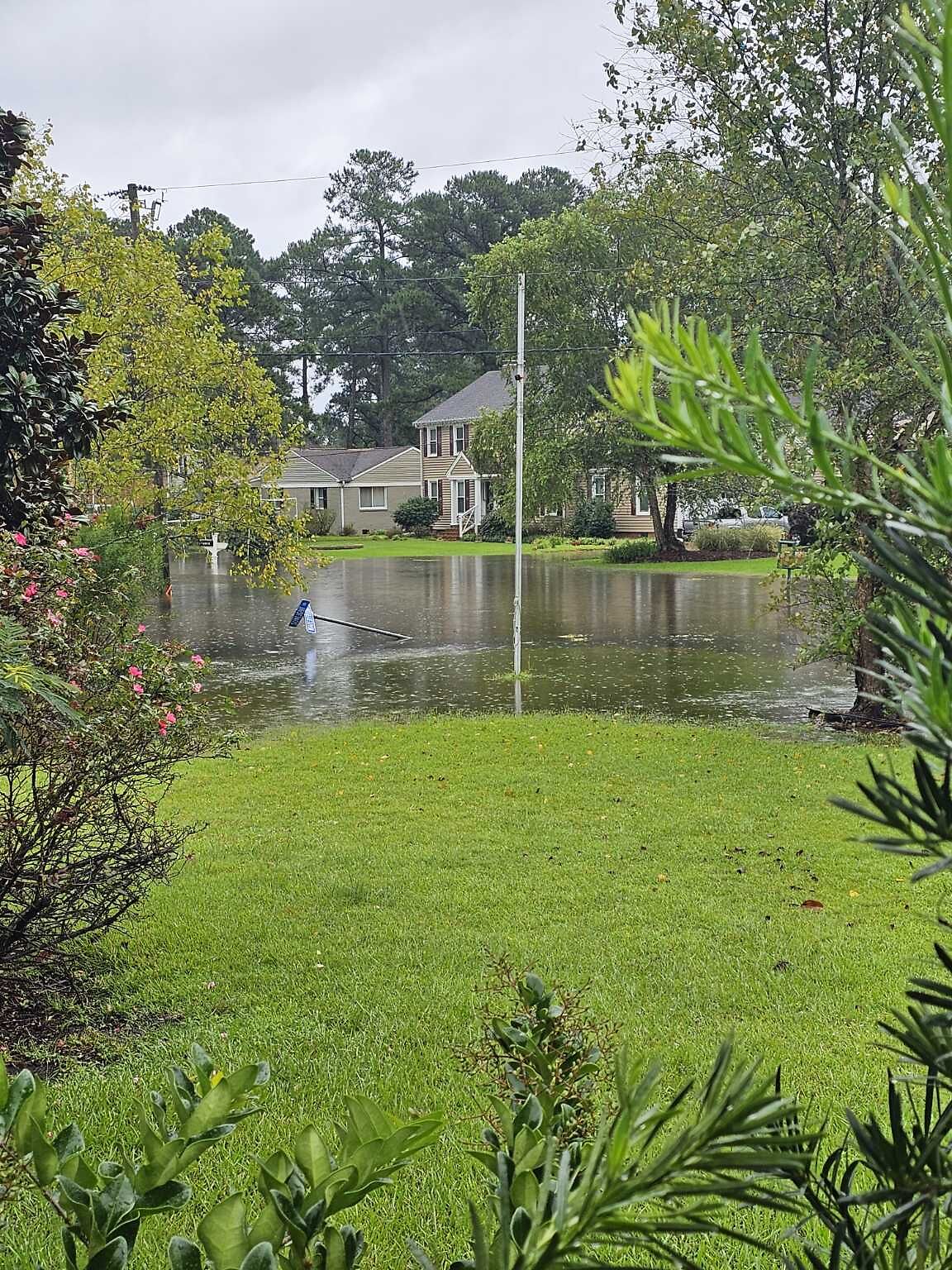 Photo_20250226_071936