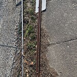 Sign - Maintenance/Repair at 4869 Booker St