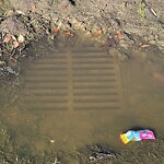 Stormwater -  Pipe/Drain/Catch Basin - Blocked at 1413 Great Bridge Blvd