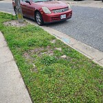 Vehicle - Inoperable in Residential at 1954 Candlelight Dr