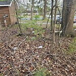 Debris Accumulation - Existing Property at 1901 Rokeby Ave