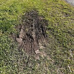 Water - Leak at 2605 Janson Dr