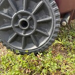 Trash Can - Repair (Brown Can) at 648 Mill Landing Rd