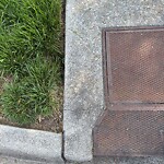 Stormwater -  Pipe/Drain/Catch Basin - Blocked at 601 Chelsea Ln
