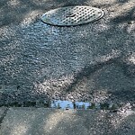 Sewer Stoppage at 407 Elmhurst Ave