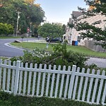 Bulk Trash Pickup at 628 Post Ave