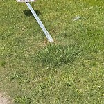 Sign - Maintenance/Repair at 200 Carver St
