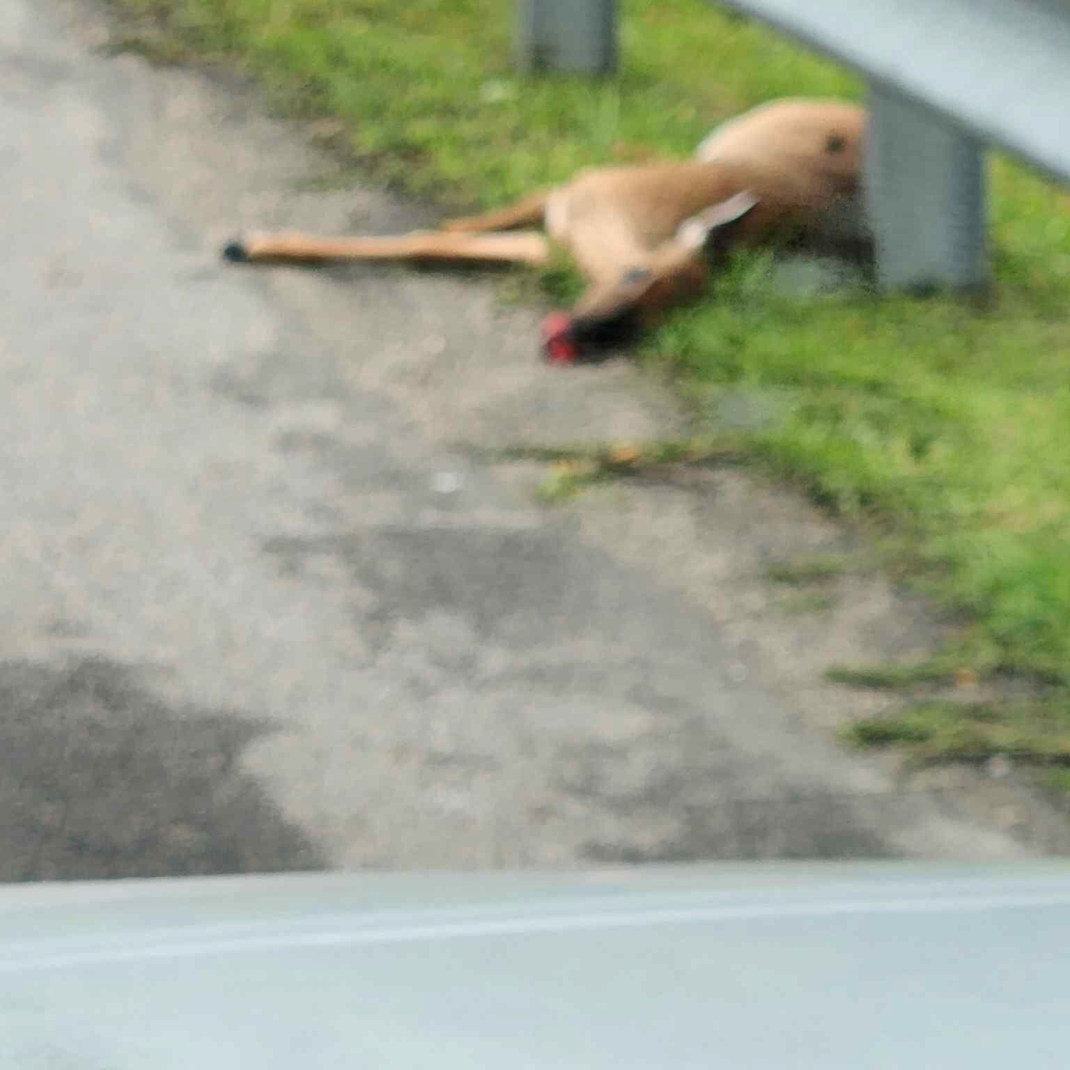 Photo_20250515_082340