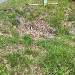 Ditch - Blocked at 432 John Etheridge Rd