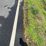Water - Leak at 429 Parker Rd