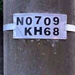 Street Light - Repair at 800 Crosswood Ct