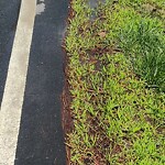 Water - Leak at 432 Parker Rd