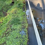 Water - Leak at 432 Parker Rd